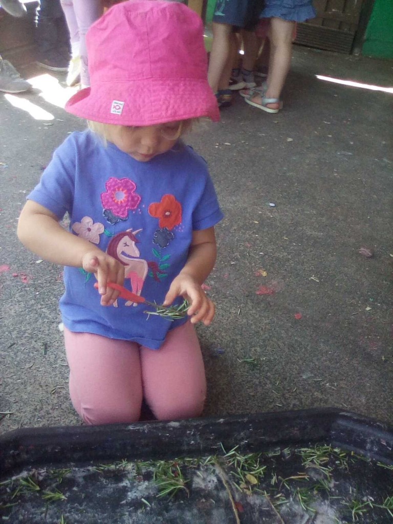 m_o_148624_54nqv1drmk4d3vqhydk066gmp0wv1z6b